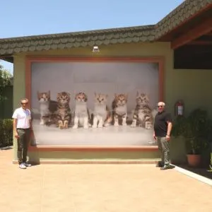 suleyman-gurpinar-von-resort-su-yasatma suleyman-gurpinar-von-resort-su-yasatma