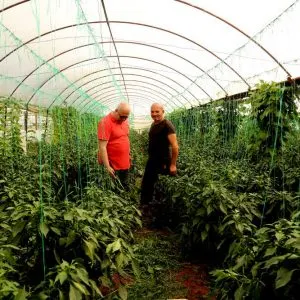 suyasatma-teknolojileri-sera-uygulamalari