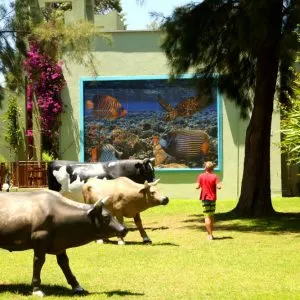 vonresort-bien-seramik-uygulama-altinkum vonresort-bien-seramik-uygulama-altinkum