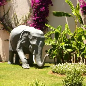 vonresort-bien-seramik-uygulama-fil-heykeli vonresort-bien-seramik-uygulama-fil-heykeli