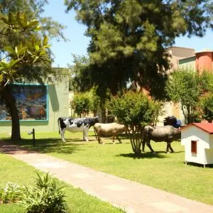 vonresort-bien-seramik-uygulama-hayvan-sevgisi-antalya vonresort-bien-seramik-uygulama-hayvan-sevgisi-antalya