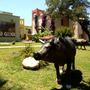 vonresort-bien-seramik-uygulama-natural-bahce vonresort-bien-seramik-uygulama-natural-bahce